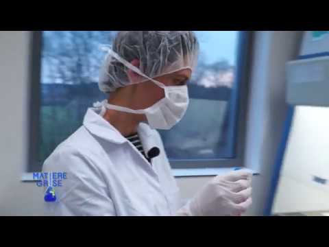 La parole est aux entreprises du Luxembourg belge ! - REVATIS